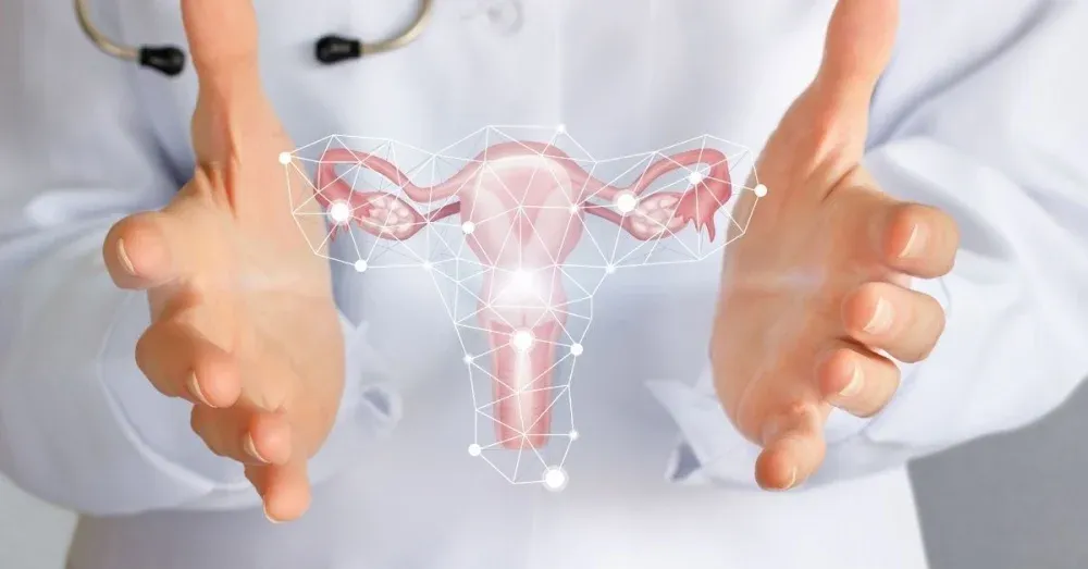 How to Cleanse Uterus And Ovaries at Home