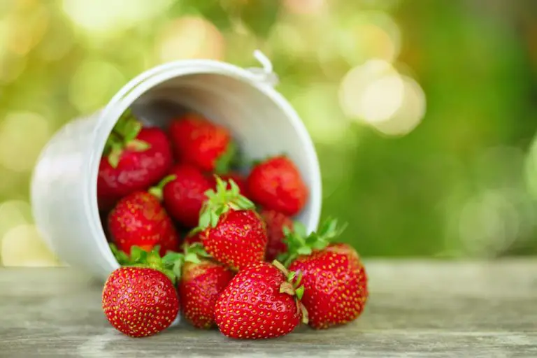 How to Ripen Strawberries at Home