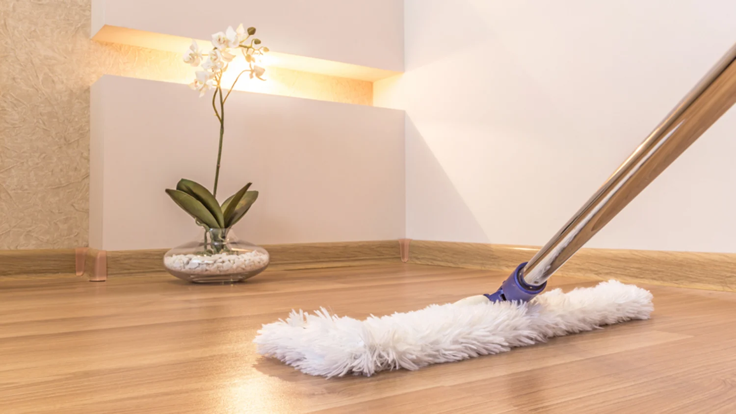 What Should You Not Clean Hardwood Floors With