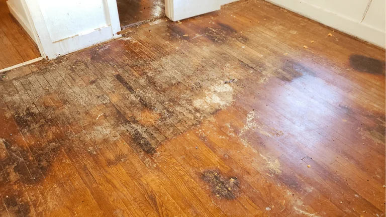Will Swiffer Ruin Hardwood Floors