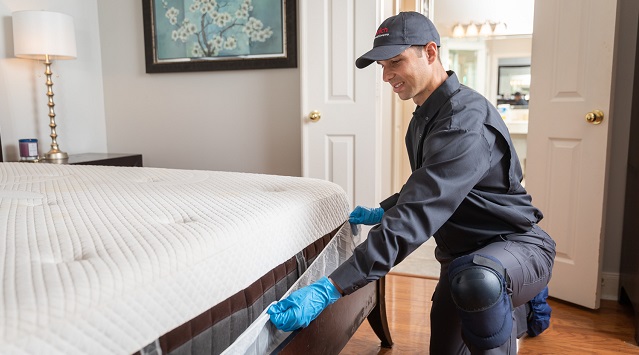 Bed Bug Furniture Removal Service near Me