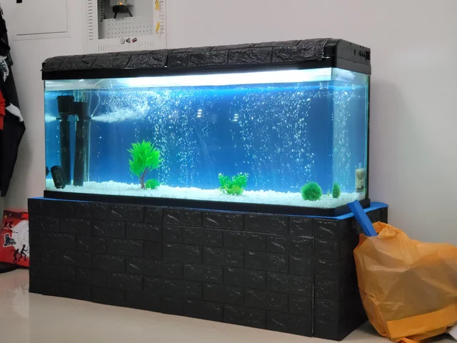 Can a Fish Tank Fall Through the Floor
