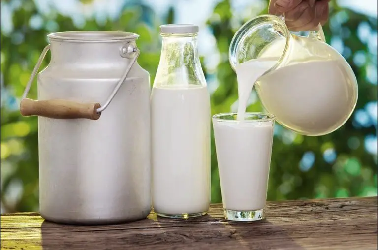 How to Check Water in Milk at Home