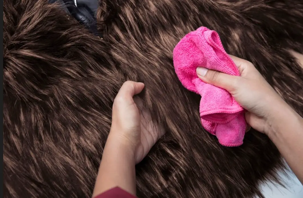 How to Clean Fur Coat at Home