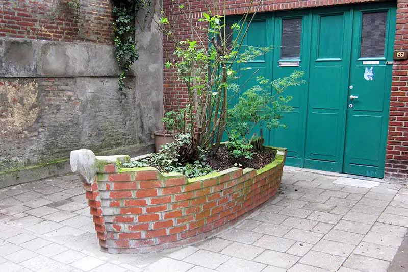 What are Some Creative Ways to Decorate a Brick Wall Outside