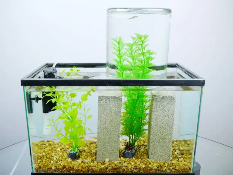 How Do I Keep My Fish Tank from Falling Over?