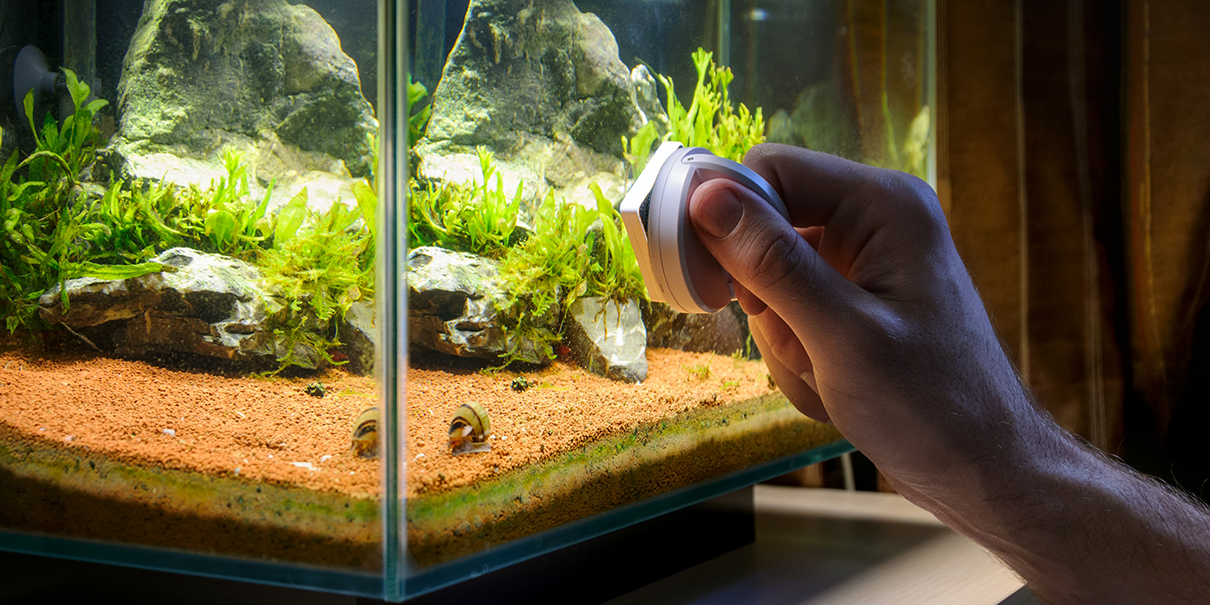 where-should-you-not-put-a-fish-tank