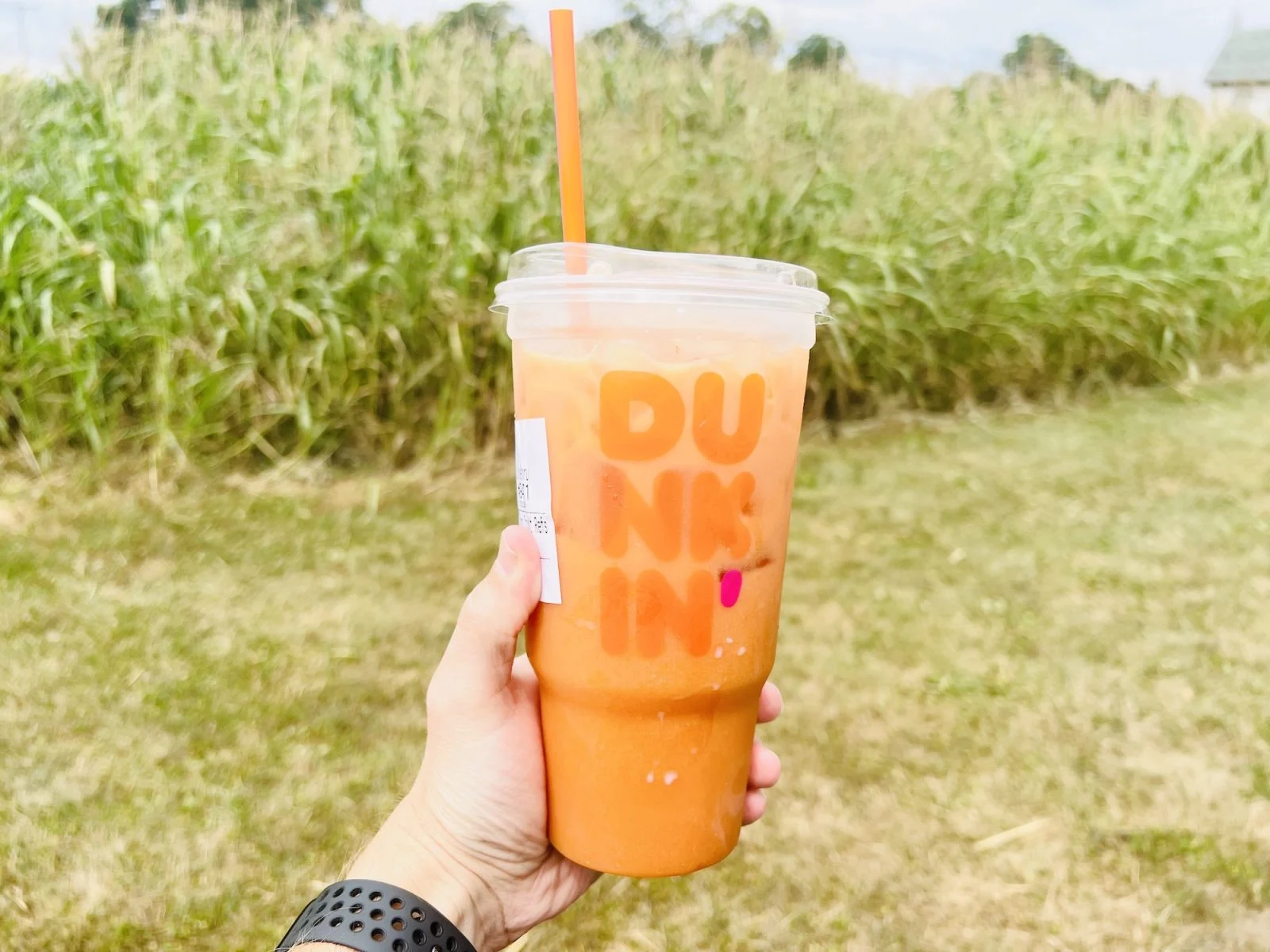 Are Dunkin Refreshers Made With Tea
