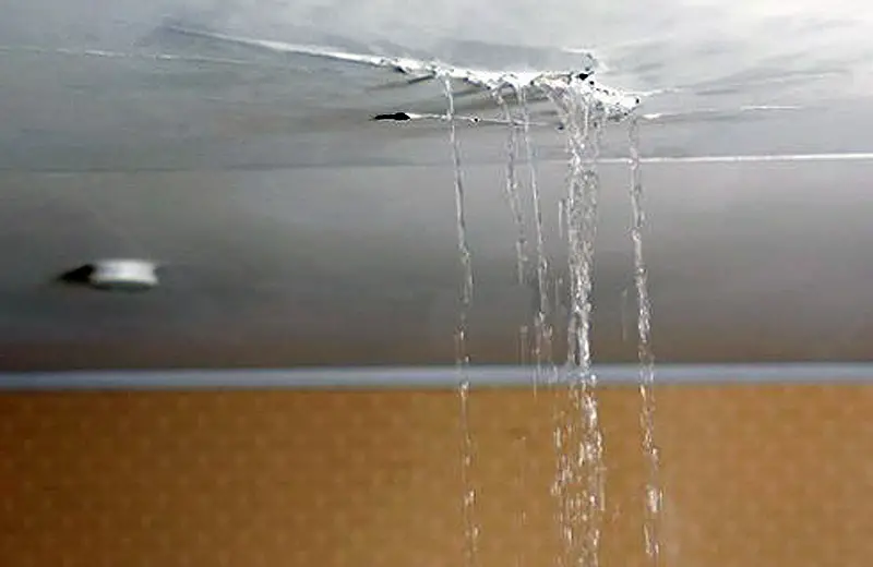 Effects of Water Leakage in Buildings