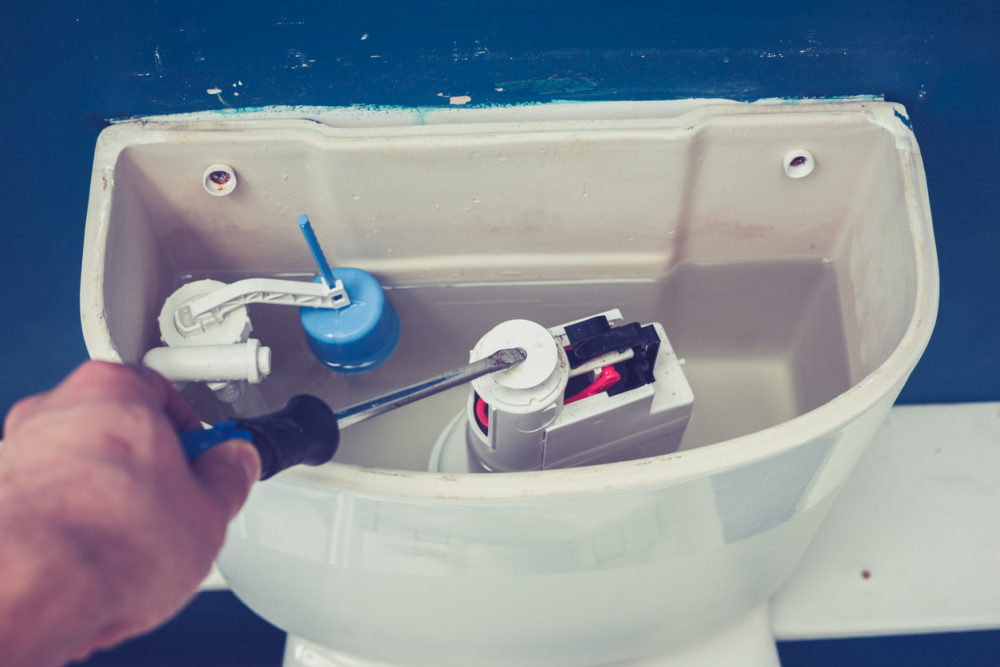 How Much Does It Cost to Fix a Toilet That Won't Flush