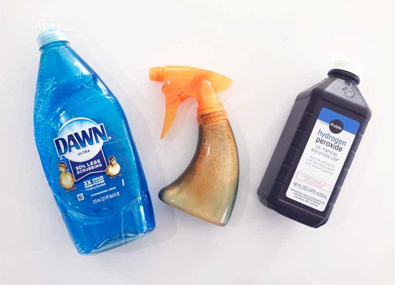 Is Dish Soap Safe for Carpet Cleaning