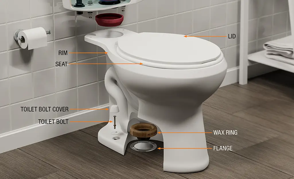 What are the 2 Main Parts of a Toilet