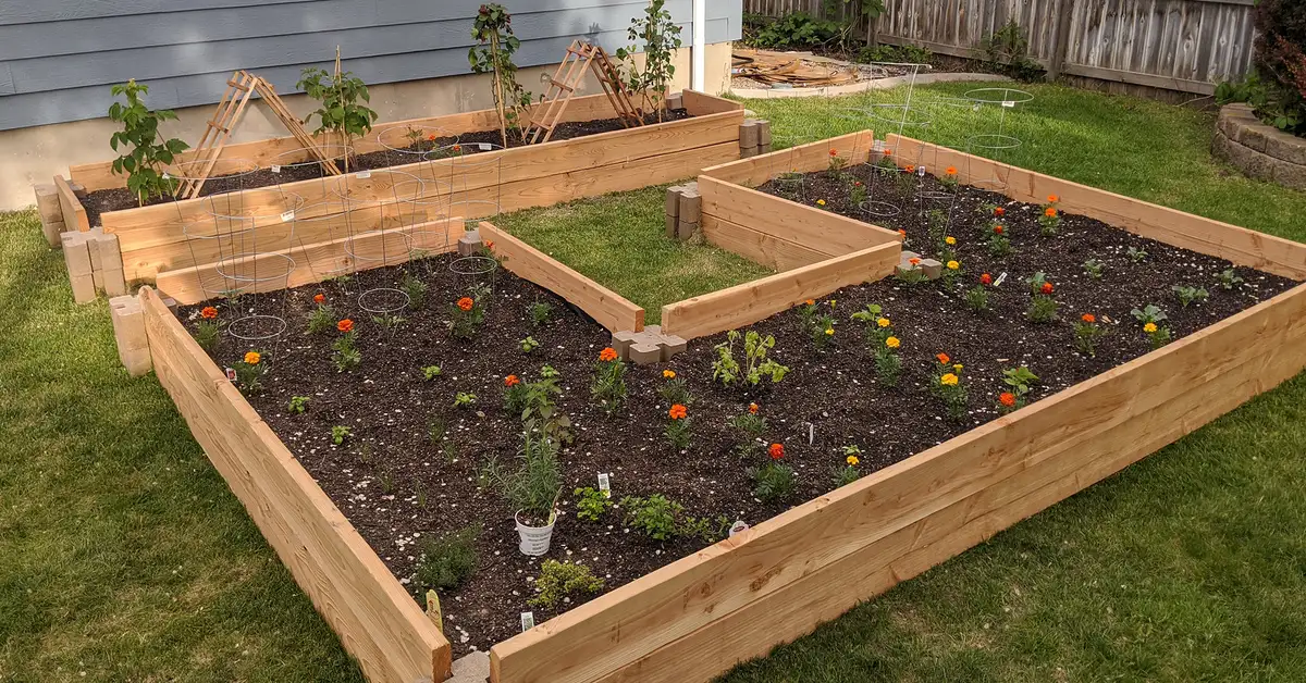 Where is the Best Location for a Raised Garden Bed