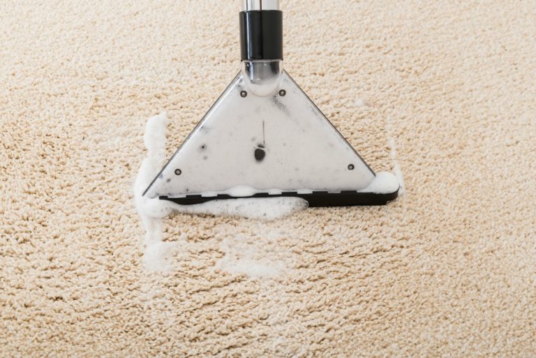 Can I Use Dish Soap in a Carpet Cleaner?