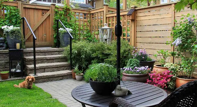 How Do You Maximize Space in a Small Garden?
