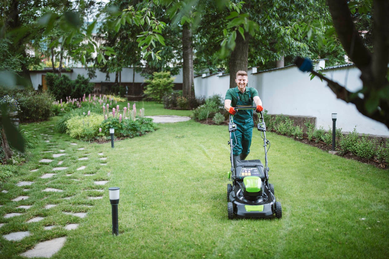 How to Find a Reputable Garden Maintenance Company