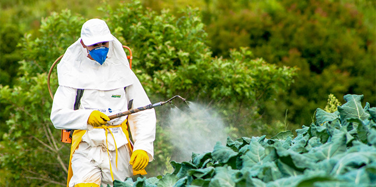 Importance of Protecting Oneself From Pesticide Exposure