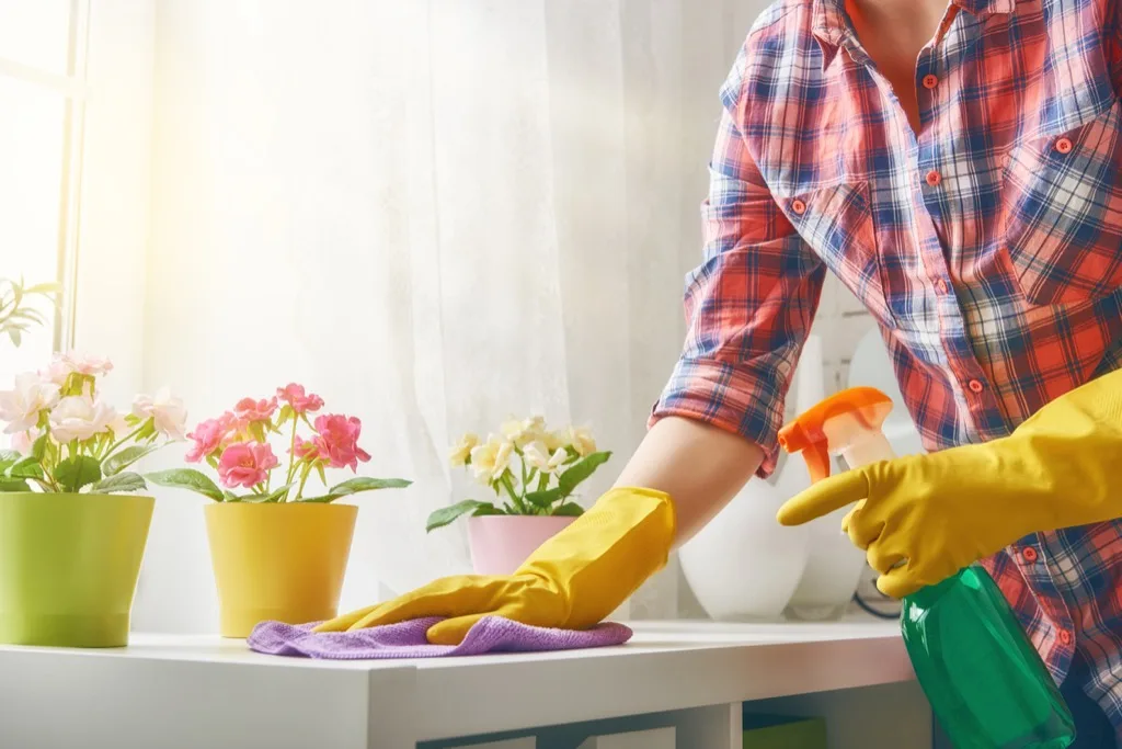 Maintaining a Clean Home in the Long-Term