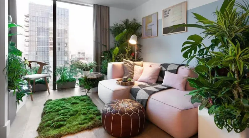 The Benefits of Having Plants in Your Living Room