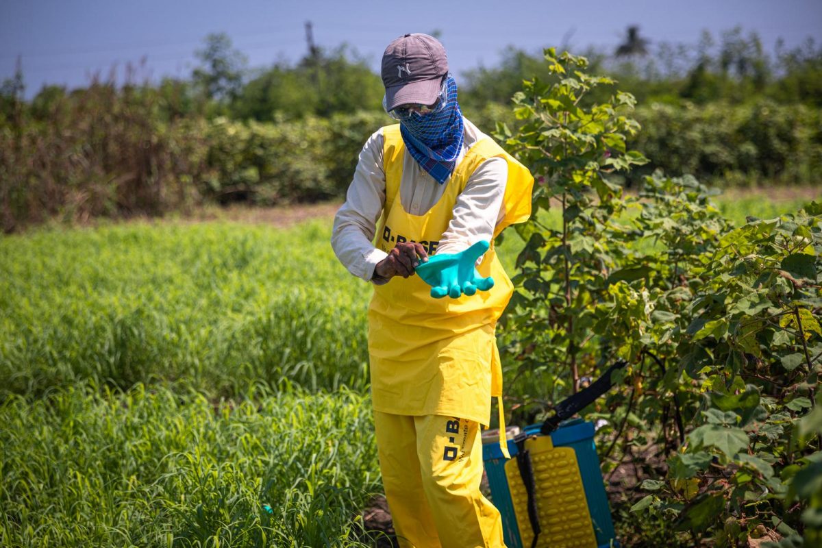 Use Protective Clothing, Gloves, and Masks When Handling Pesticides