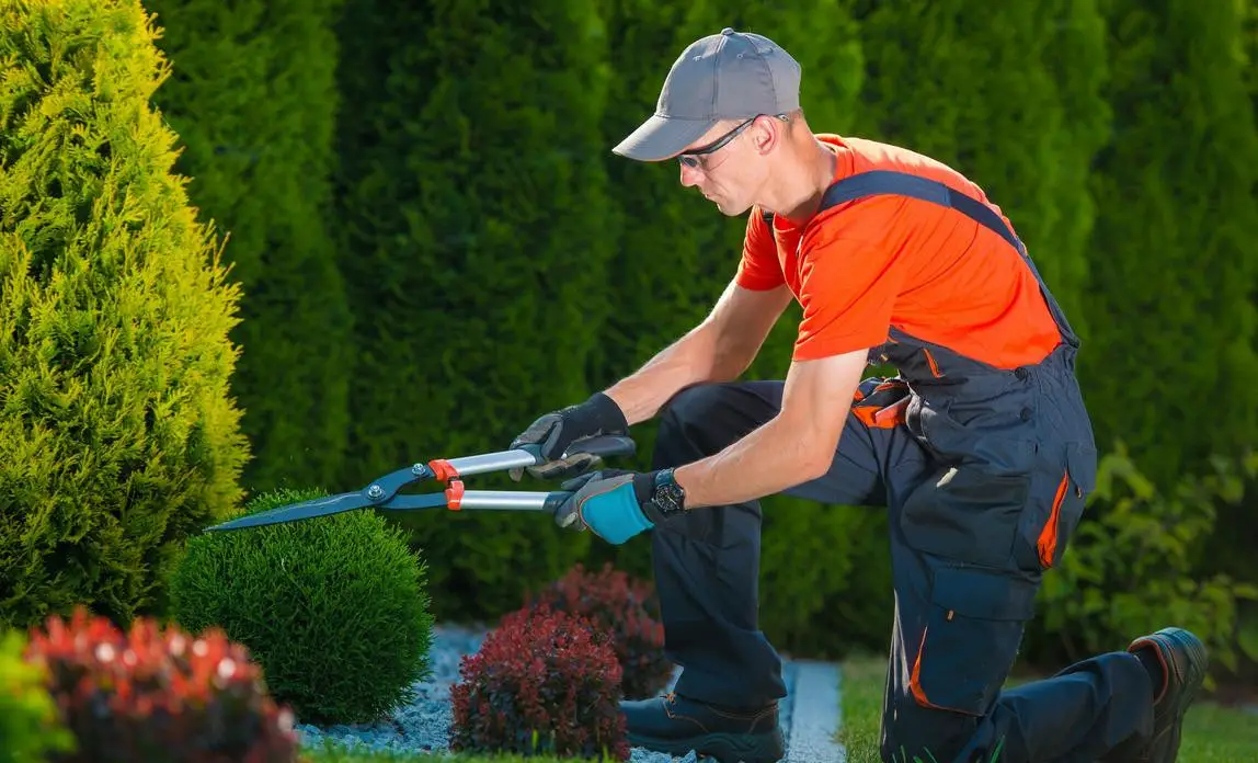 What Services Do Garden Maintenance Companies Offer