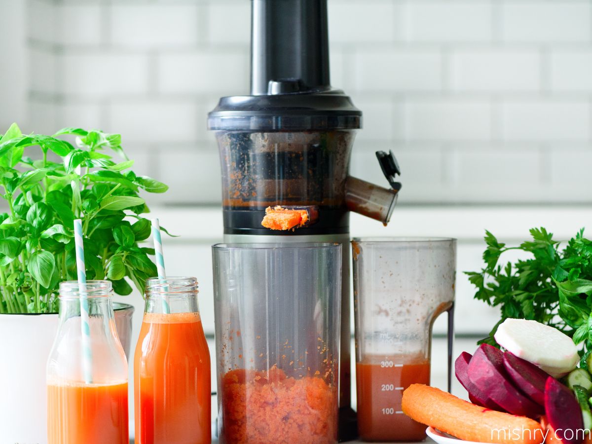 Best Juicer For Beetroot and Carrot