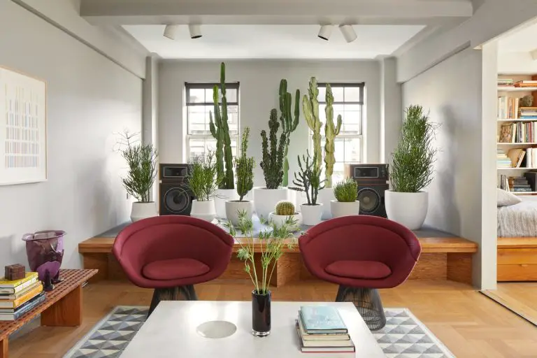 How to Decorate a Living Room With Plants