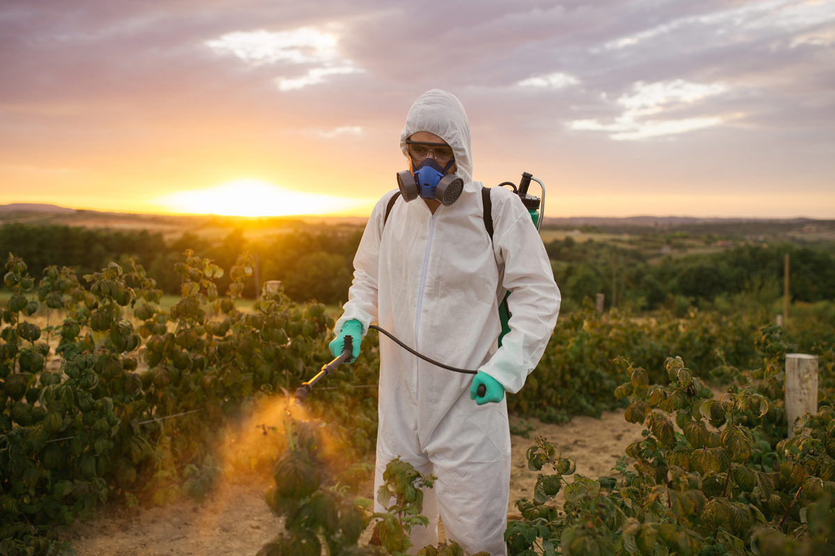 What are 5 ways that you can reduce exposure to pesticides