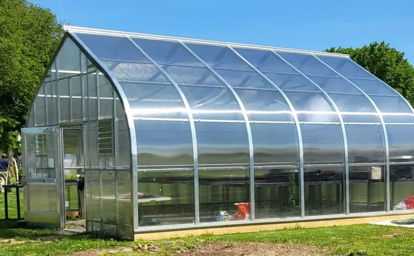 How Homeowners Can Use Greenhouses In These 4 Ways
