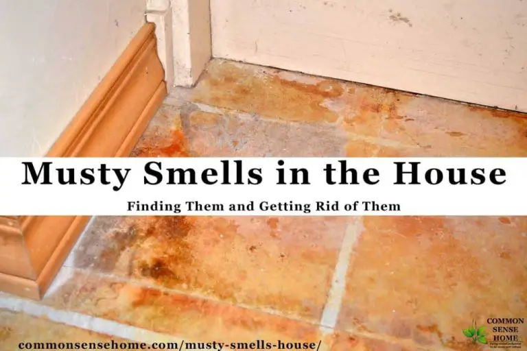 What kills musty smell?