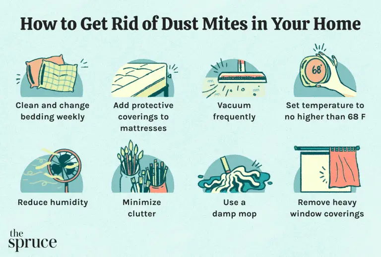 What kills dust mites in beds?