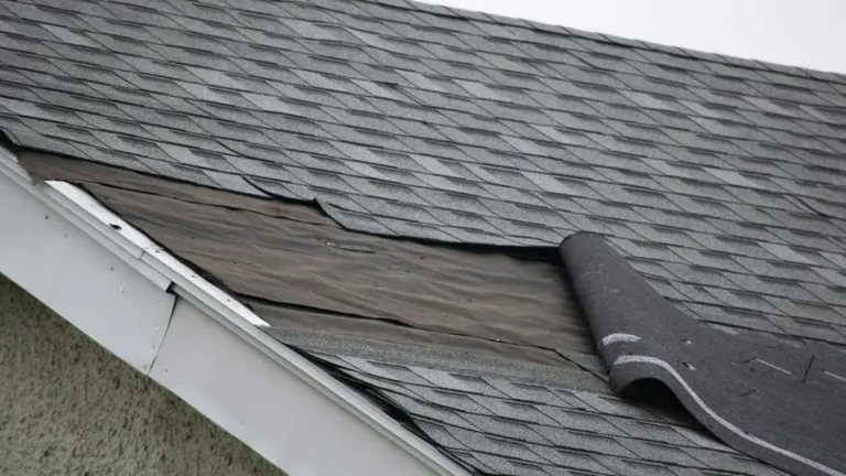 What Are Signs You Need A New Roof?