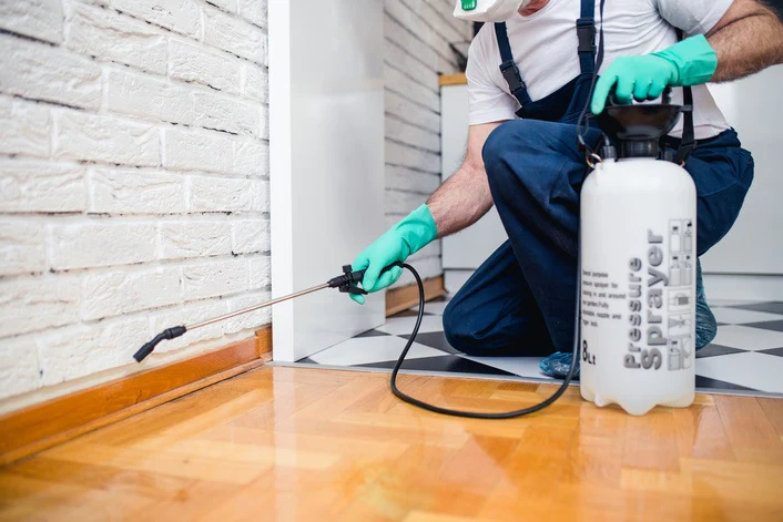 What Is Involved in a Pest Control Inspection