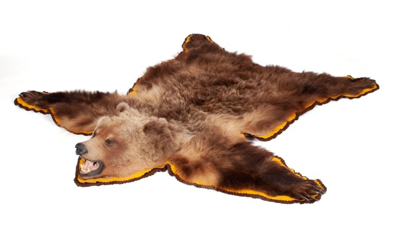 How To Skin Bear For Rug