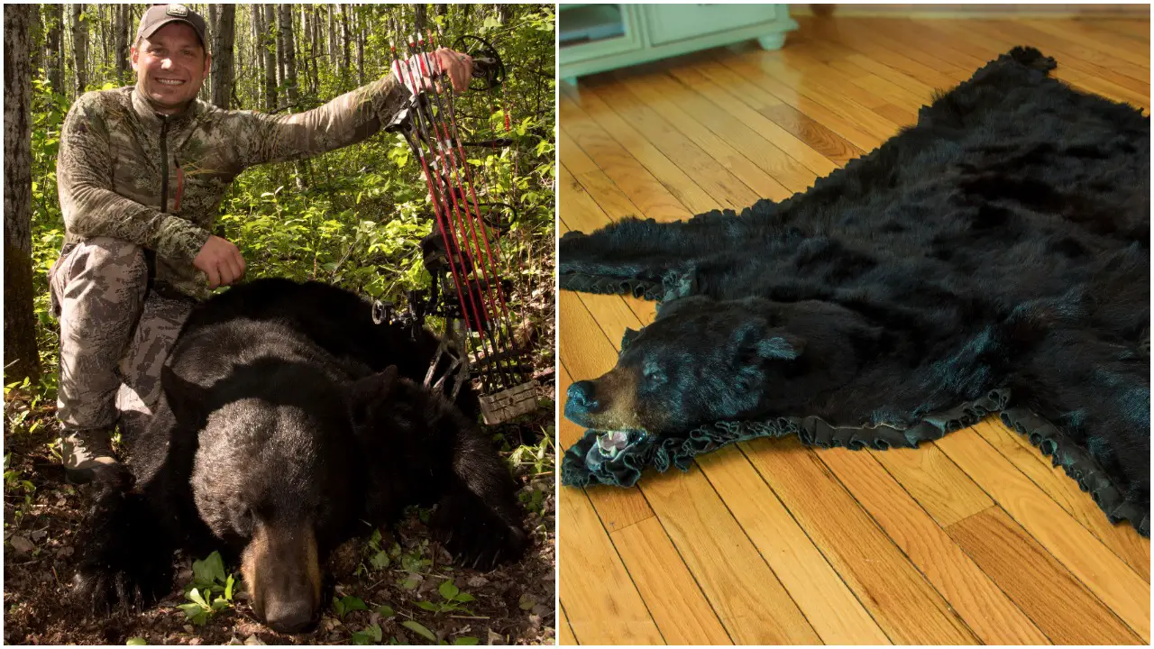 How to Prepare the Bear for Skinning