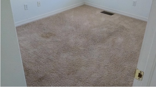 How To Fix Crunchy Carpet