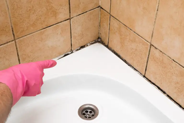 CAN YOU CLEAN UP BATHROOM MOLD?