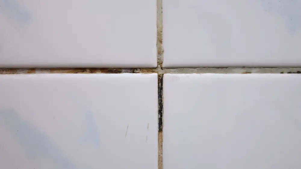 Can Chlorine Damage Tiles