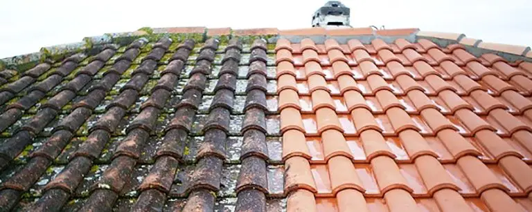 What Is The Best Chemical To Clean A Roof?
