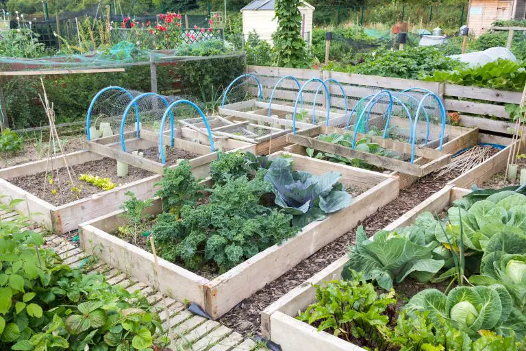 5 Tips To Keep Your Garden Organized