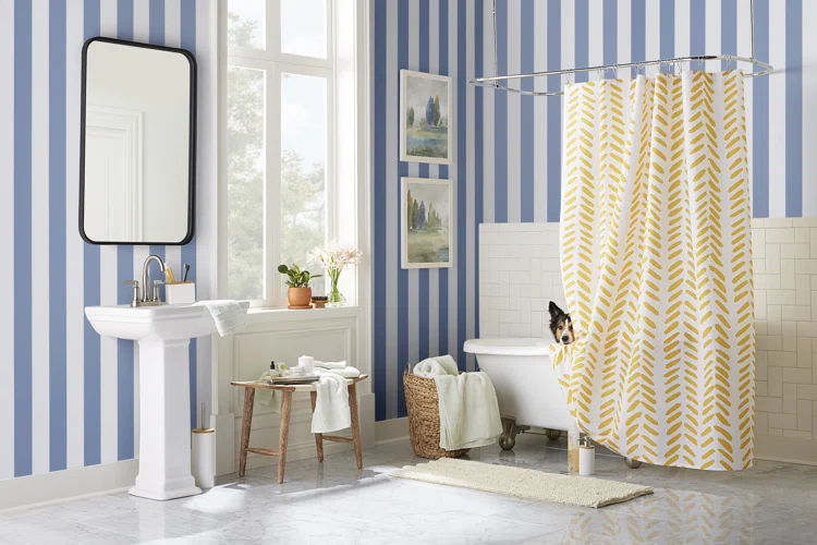 Bathroom Shower Curtain Ideas