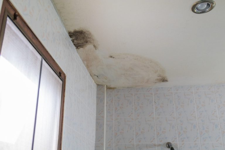 Bathroom Ceiling Mold