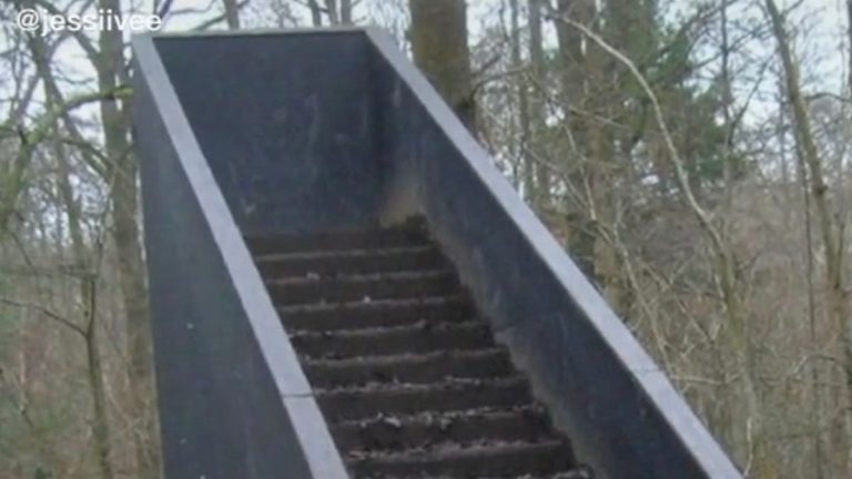 Stairs In The Woods Pictures