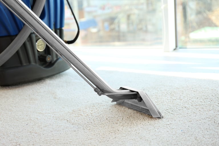 Are Rental Carpet Cleaners Sanitary