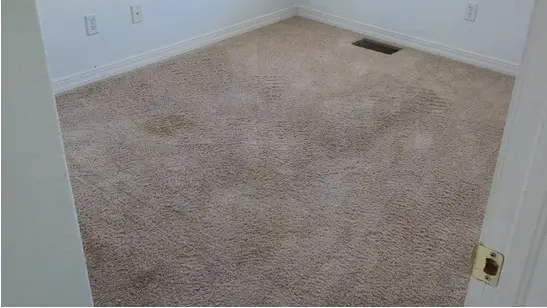 Why Is My Carpet Crunchy