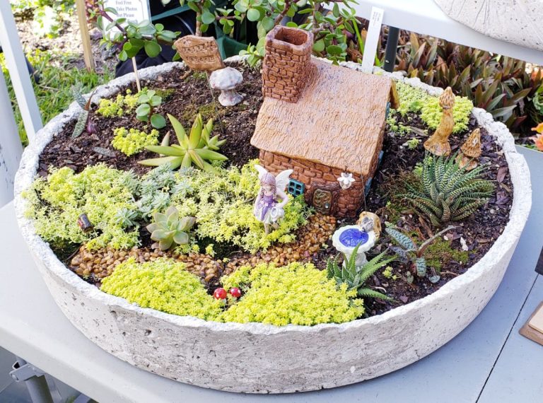 Indoor Fairy Garden Container Ideas