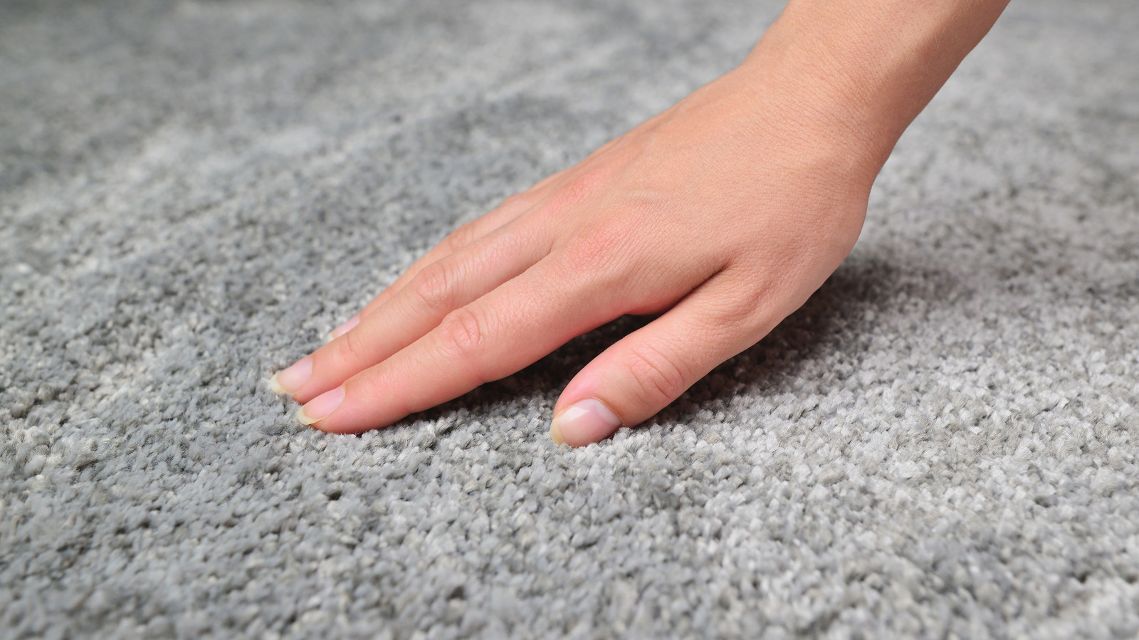 How To Restore Matted Carpet