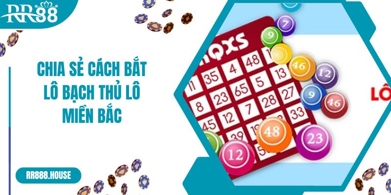 Chia sẻ cách bắt lô bạch thủ lô miền Bắc chuẩn xác 