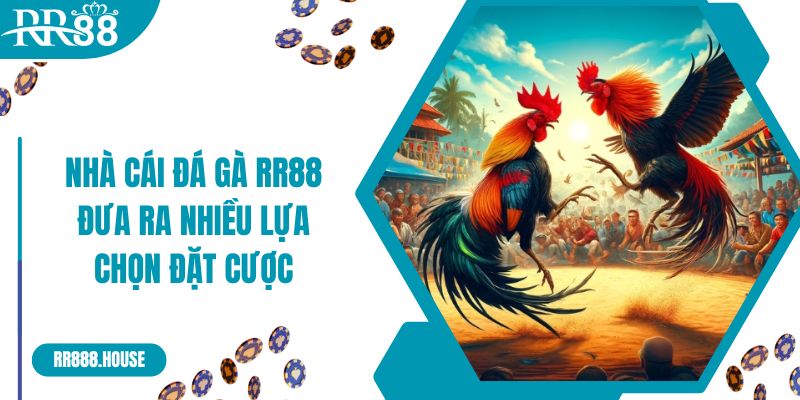 Nhà cái đá gà RR88 đưa ra nhiều lựa chọn đặt cược