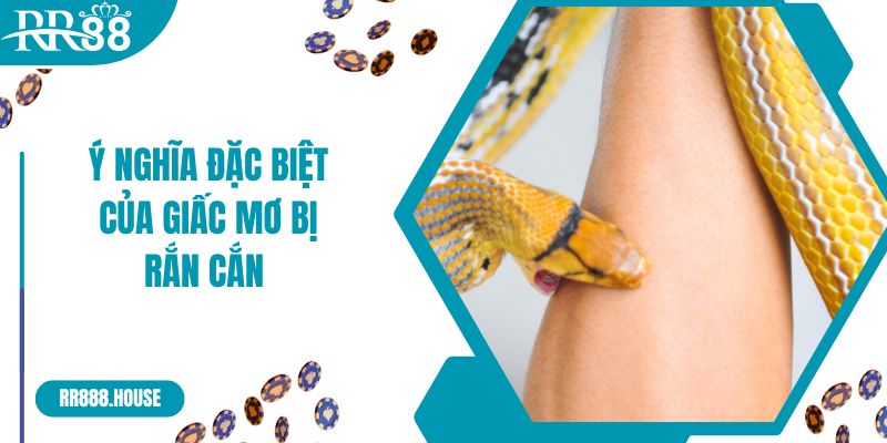 Ý nghĩa đặc biệt của giấc mơ bị rắn cắn vào tay